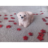 Vide poche chien - marron clair