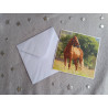Carte peinture diamant + enveloppe assortie