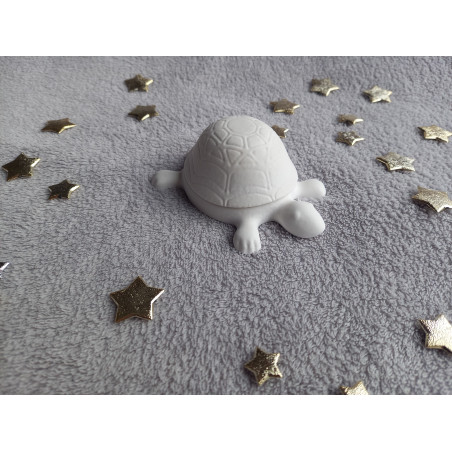 Boite tortue - blanc (naturel)