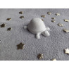Boite tortue - blanc (naturel)