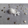 Boite tortue - blanc (naturel)
