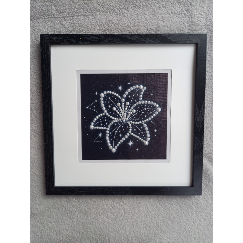 Tableau peinture diamant noir et blanc - Série florale - Lys