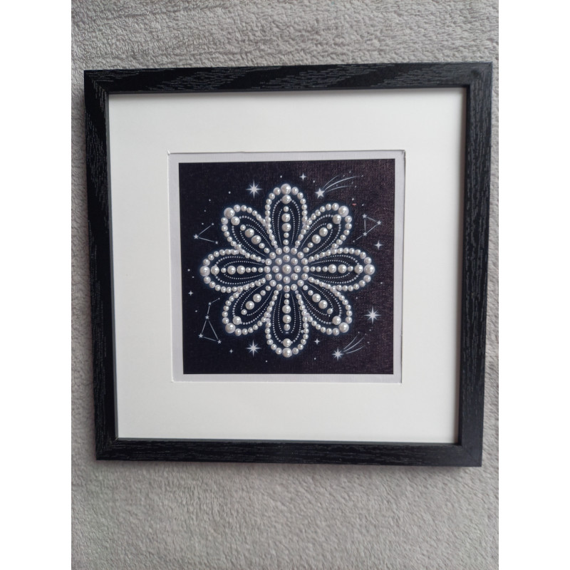 Tableau peinture diamant noir et blanc - Série florale - Marguerite
