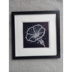 Tableau peinture diamant noir et blanc - Série florale - Hibiscus
