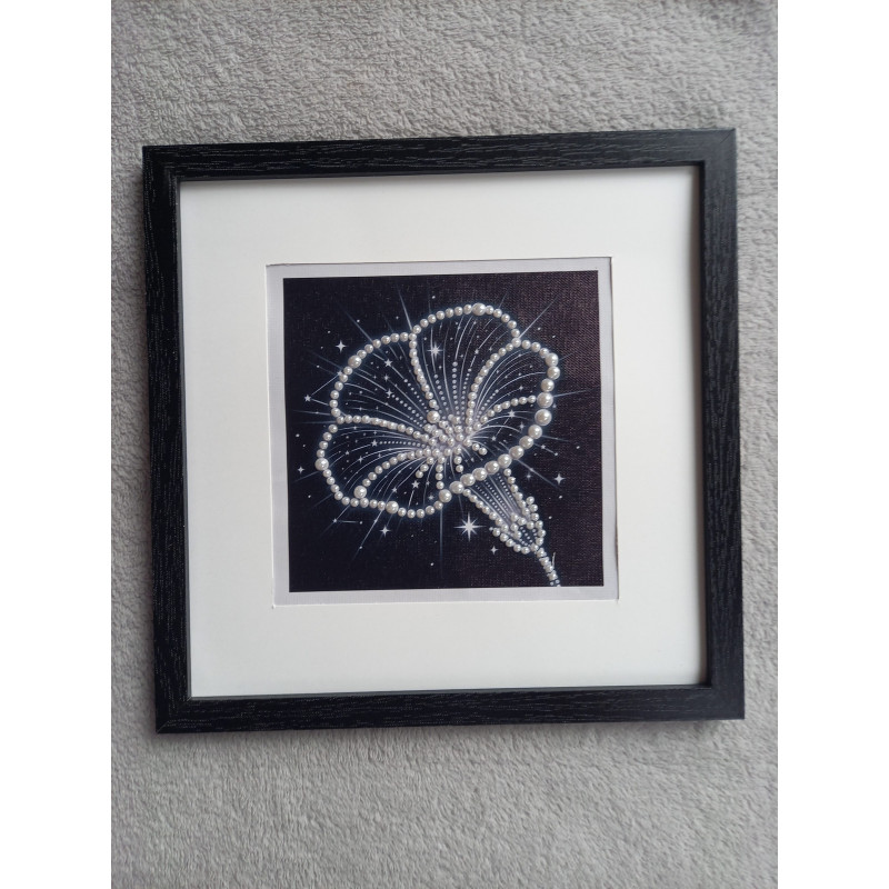 Tableau peinture diamant noir et blanc - Série florale - Hibiscus