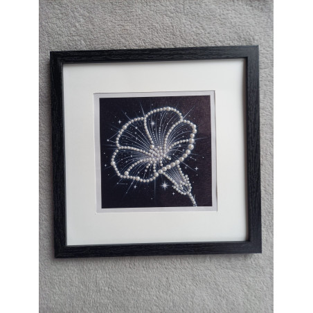 Tableau peinture diamant noir et blanc - Série florale - Hibiscus