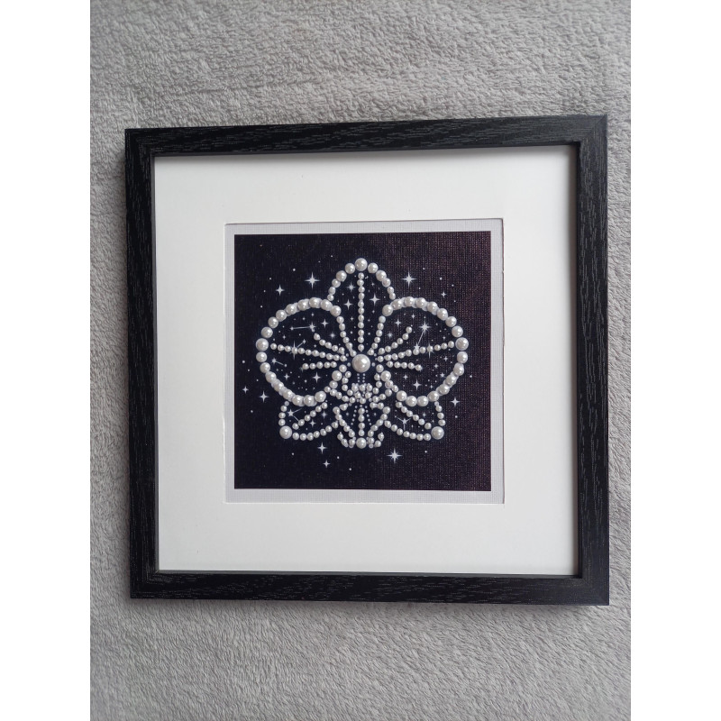 Tableau peinture diamant noir et blanc - Série florale - Orchidée