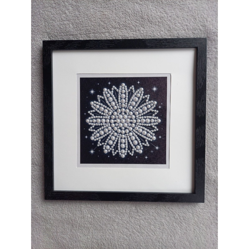 Tableau peinture diamant noir et blanc - Série florale