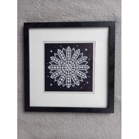 Tableau peinture diamant noir et blanc - Série florale