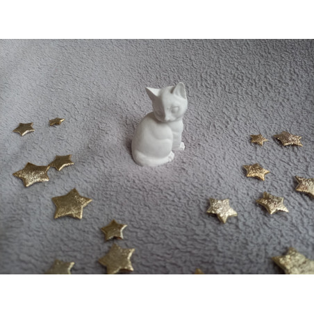 Chat - blanc (naturel)