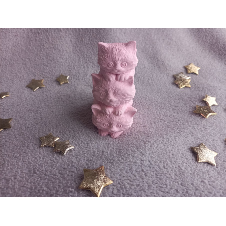 Famille de chat - rose