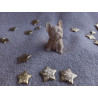 Chien - marron clair